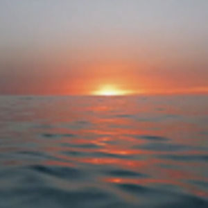 Meet your Posher, Bridget